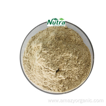 Organic African Mango Seed Extract Mangiferin